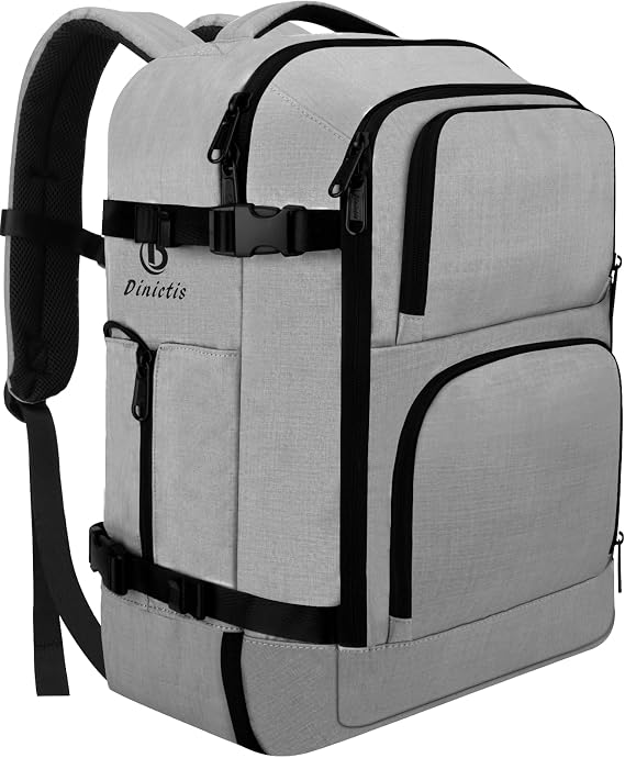 Dinictis Travel Laptop Backpack Grey
